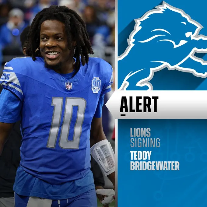 teddy lions