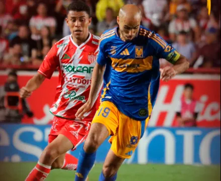 tigres
