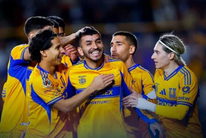 tigres