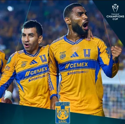 tigres