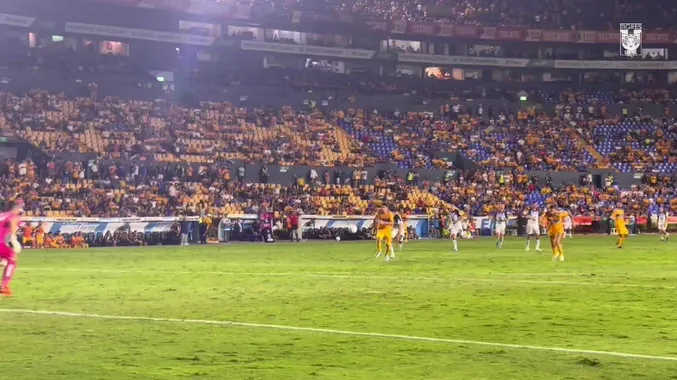 tigres2