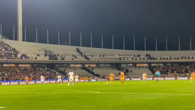 tigres2
