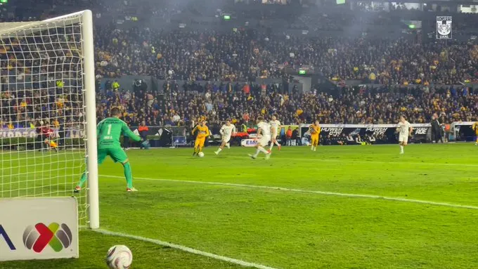 tigres22