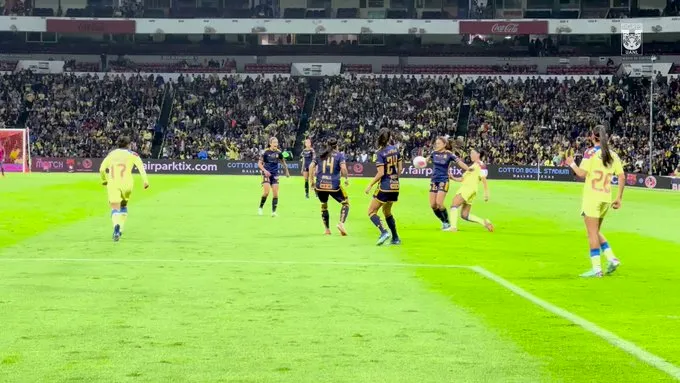 tigresfemenil