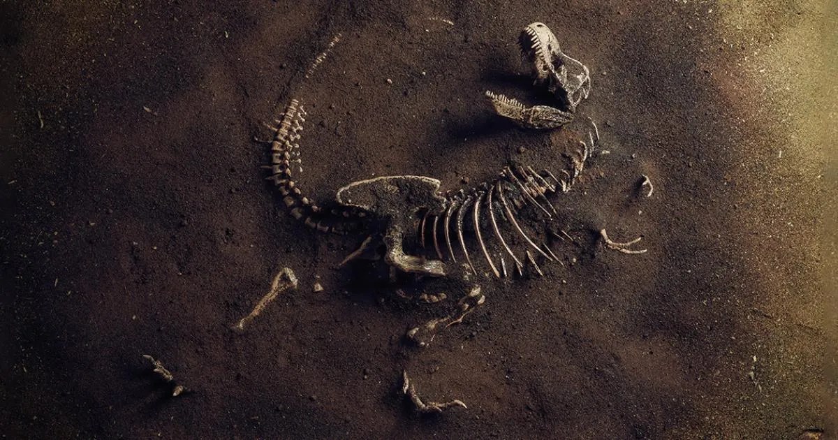 tiranosaurio
