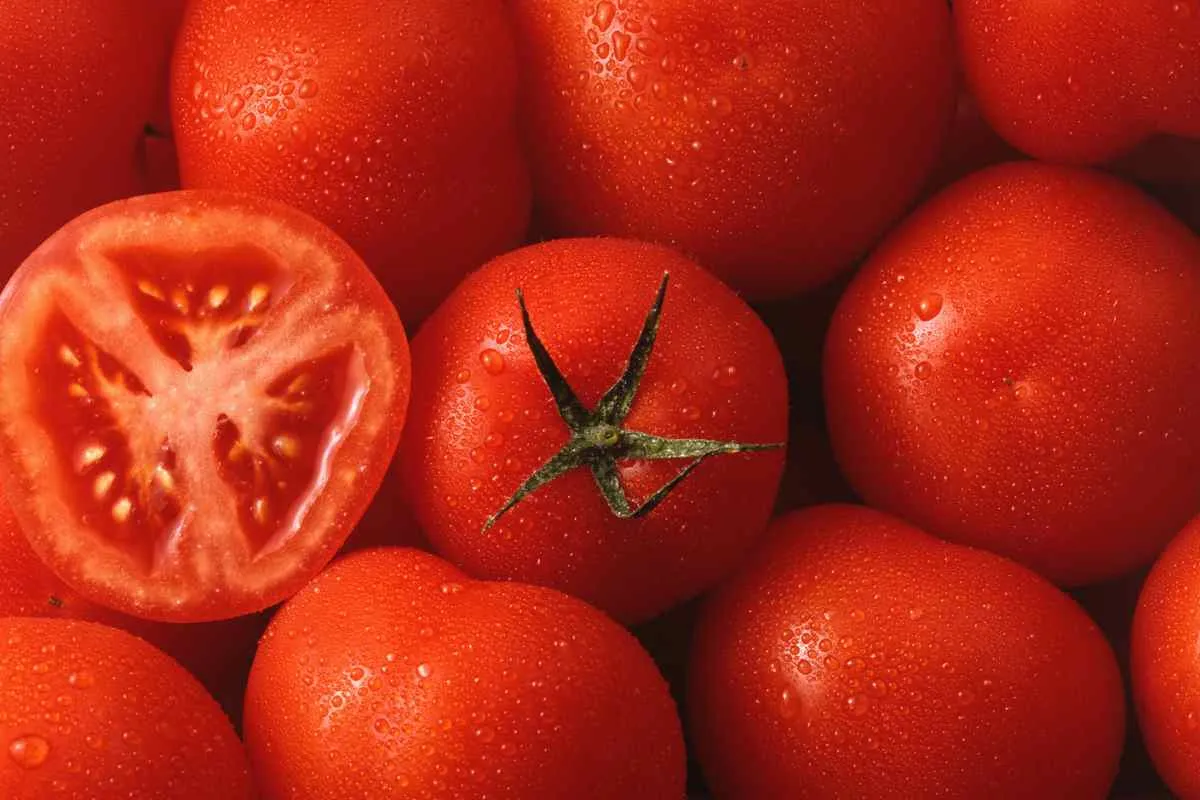 tomate