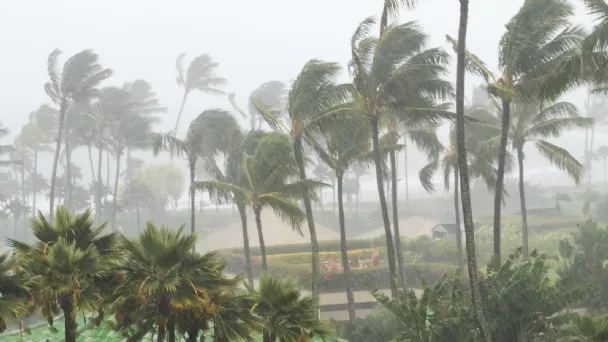 tormenta