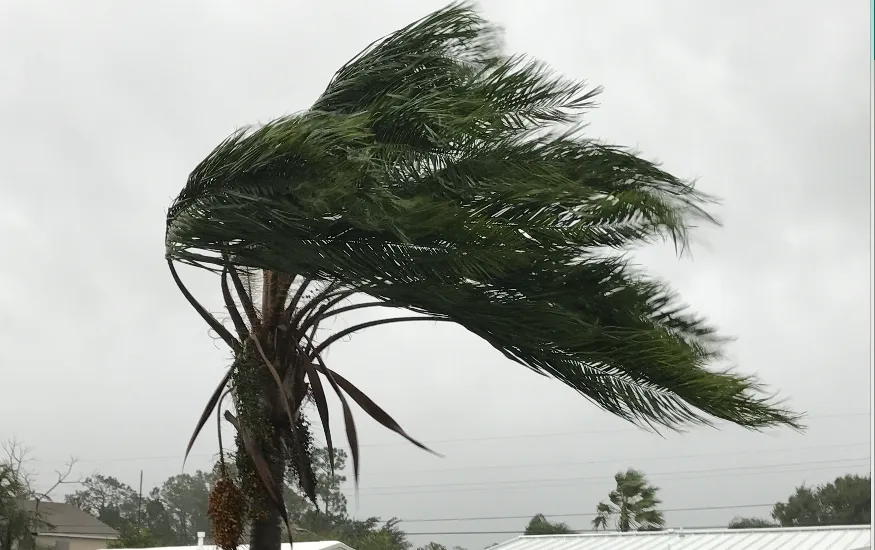 tormenta