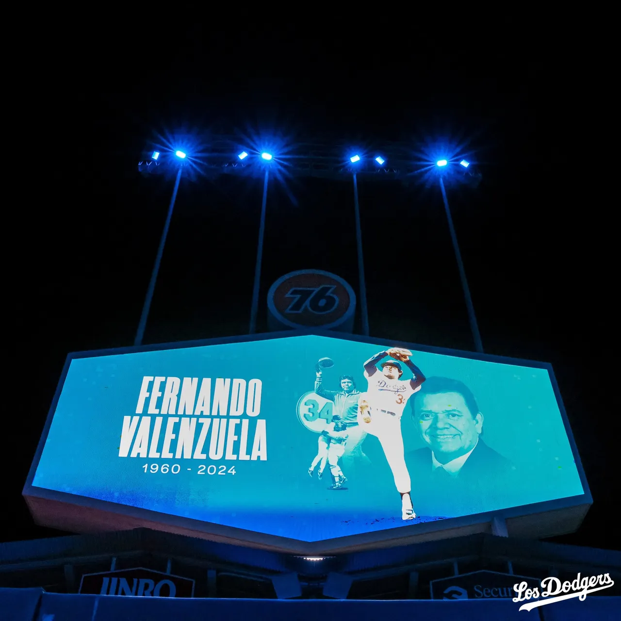 toro fernando