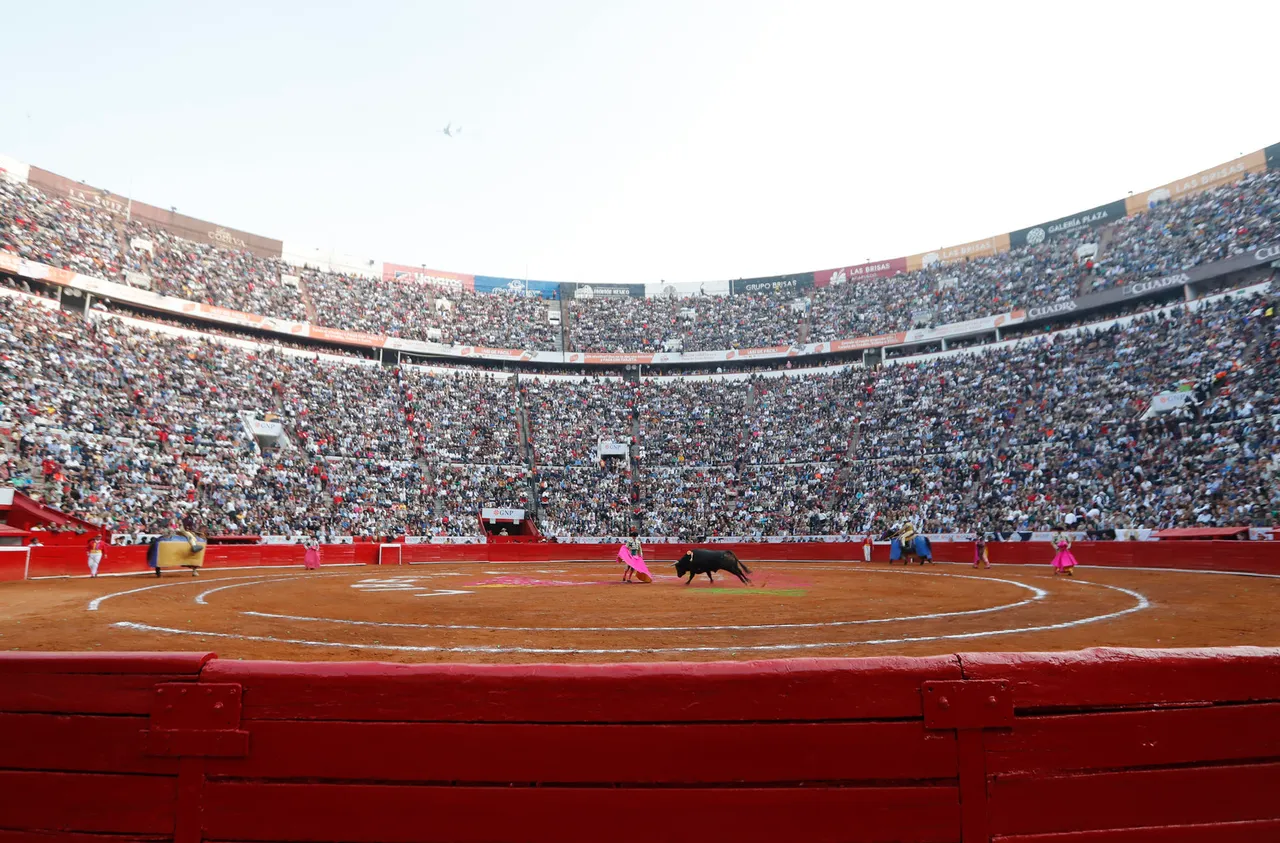 TOROS PLAZA MEXICO