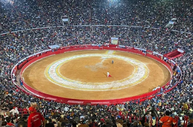 toros