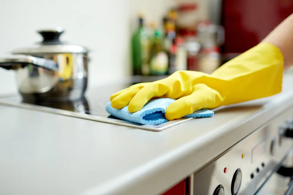 hogar trabajadoras del hogar
