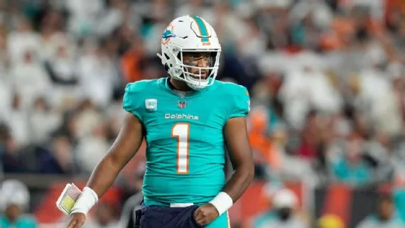 Dolphins Bengals Football