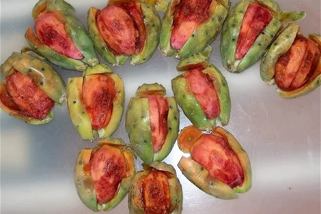 tuna_roja