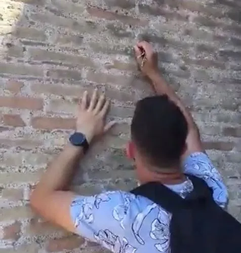 turista