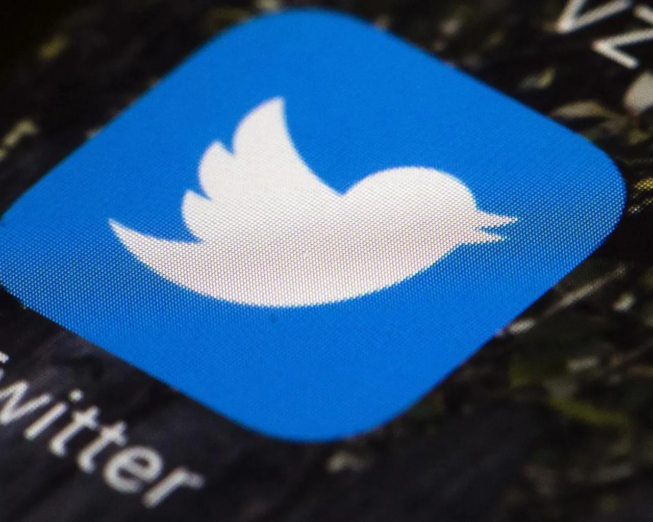 twitter