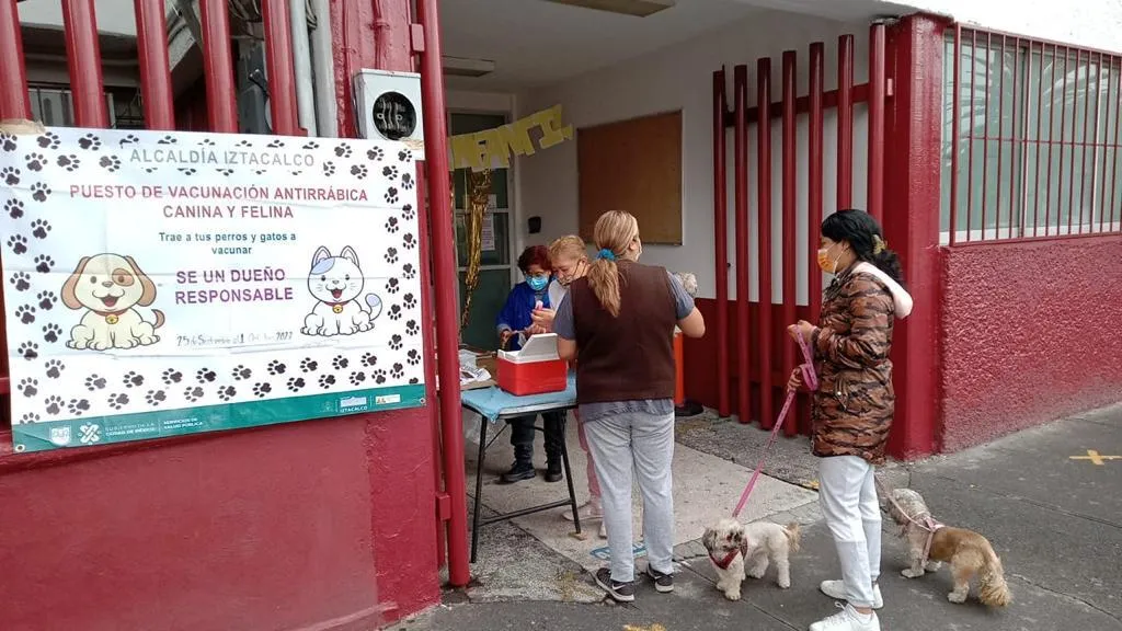 vacunaperros