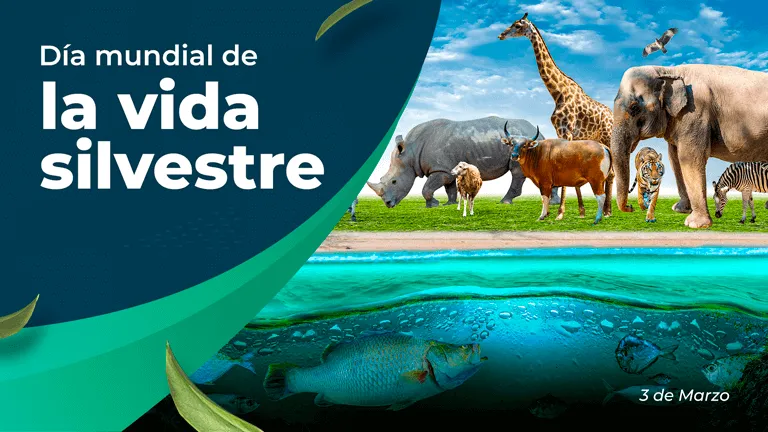 vida silvestre