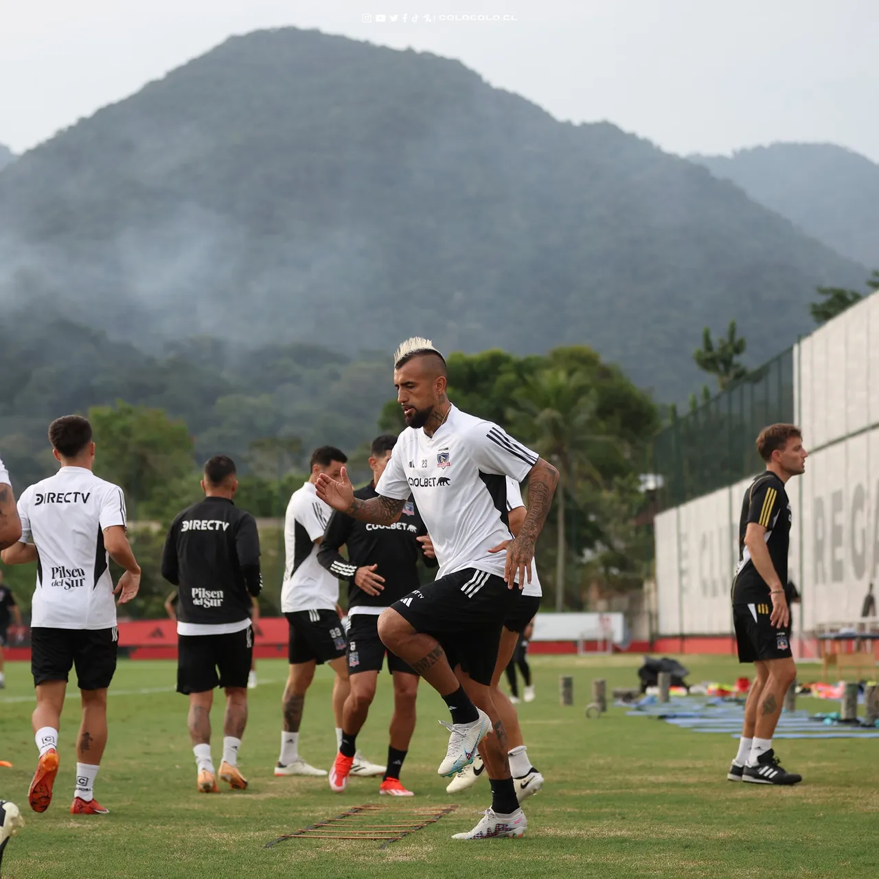 vidal colo colo