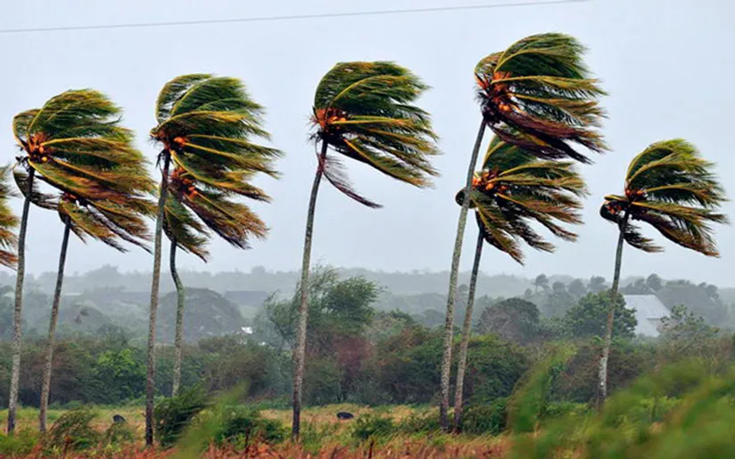viento