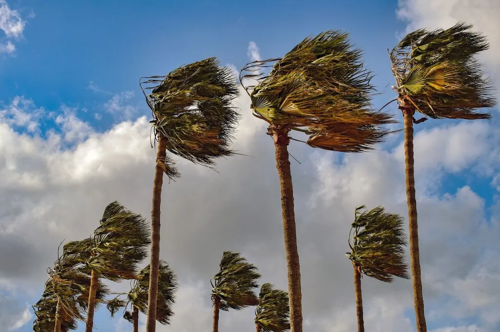 viento