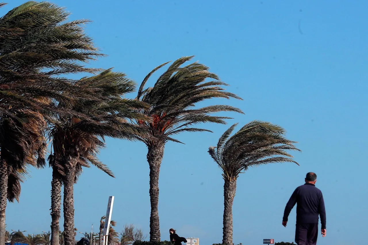 viento