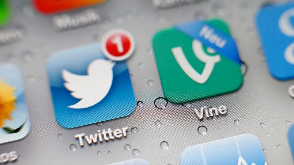 vine