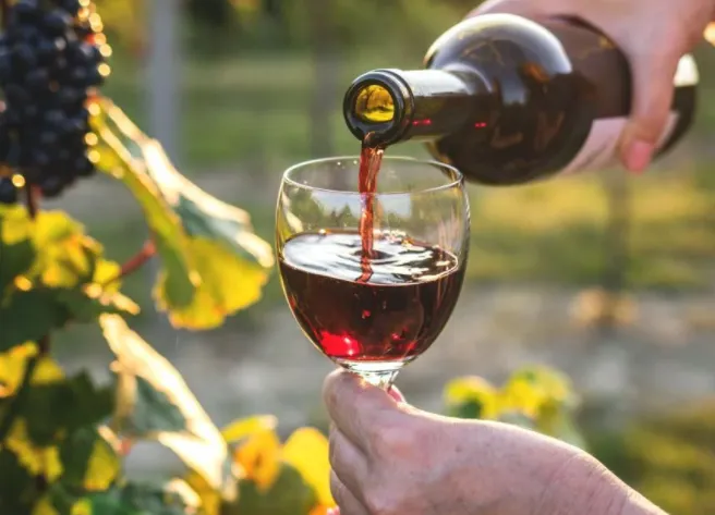 vinos
