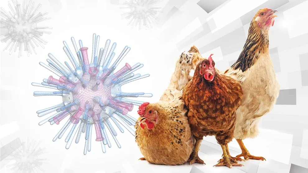 virus de influenza