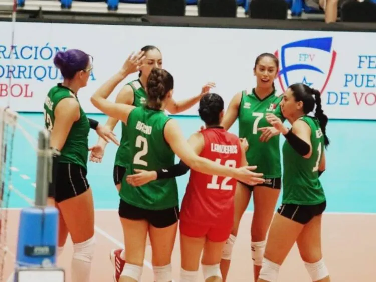 voleibol