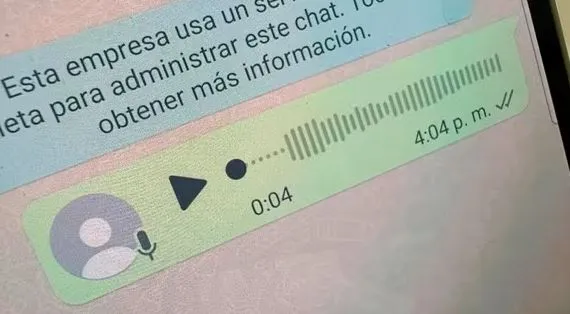 voz