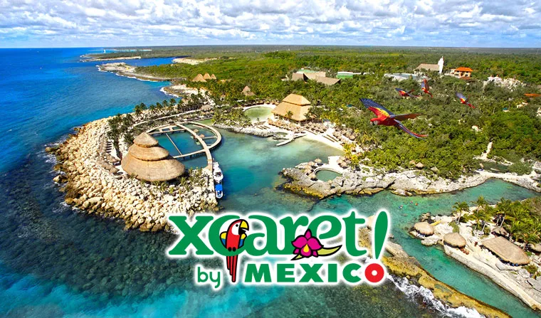 xcaretplus-main