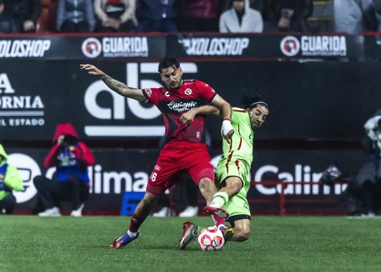 Xolos