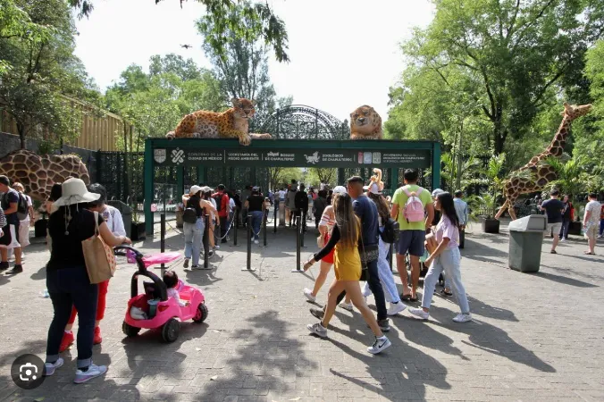 zoo